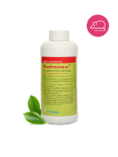 Фрайтенмаус